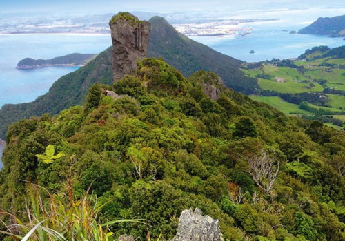 Bream Head Scenic Reserve